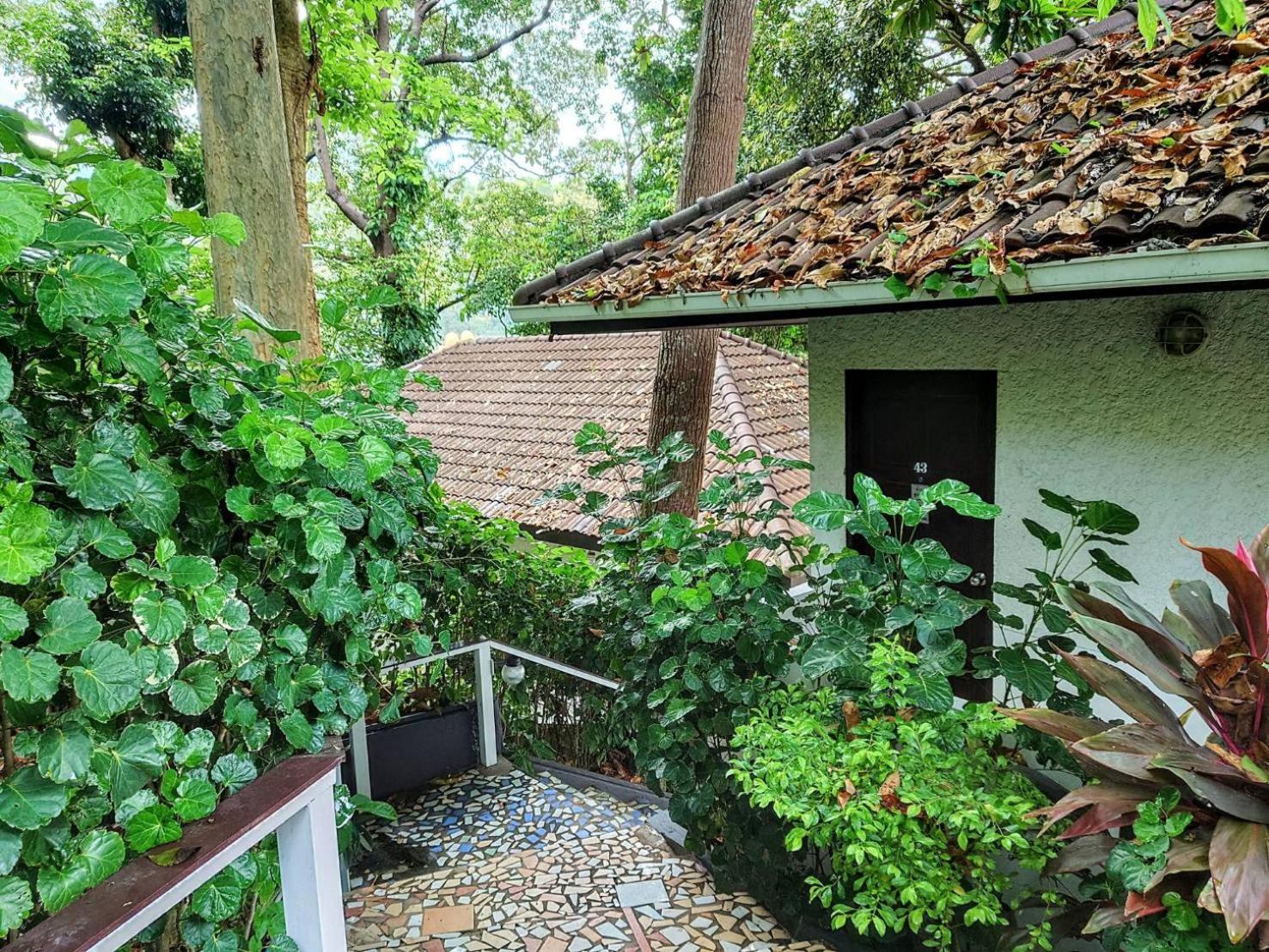 On The Hill Karon Resort Exterior foto